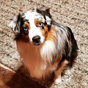 Meet your Posher, Lori